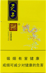 娇子(锦绣小天子)