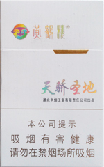 黄鹤楼(硬天骄圣地)