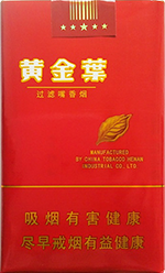 黄金叶(红南阳)