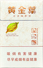 黄金叶(小天叶)