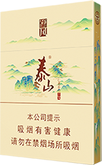 泰山(儒风双中支)